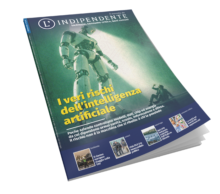 I veri rischi dell'Intelligenza Artificiale - n°19